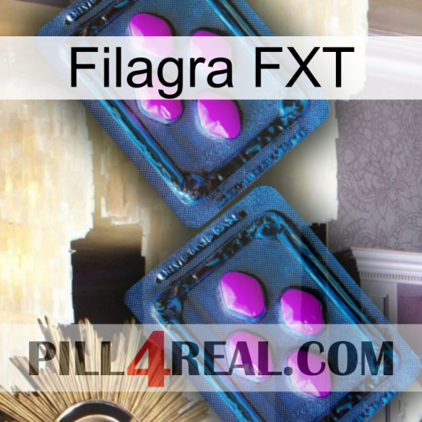 Filagra FXT 03.jpg